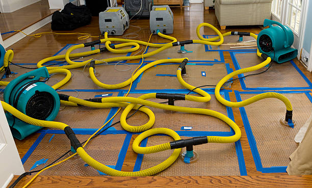 Professional Structural Drying And Dehumidification technician working in Neola, IA
